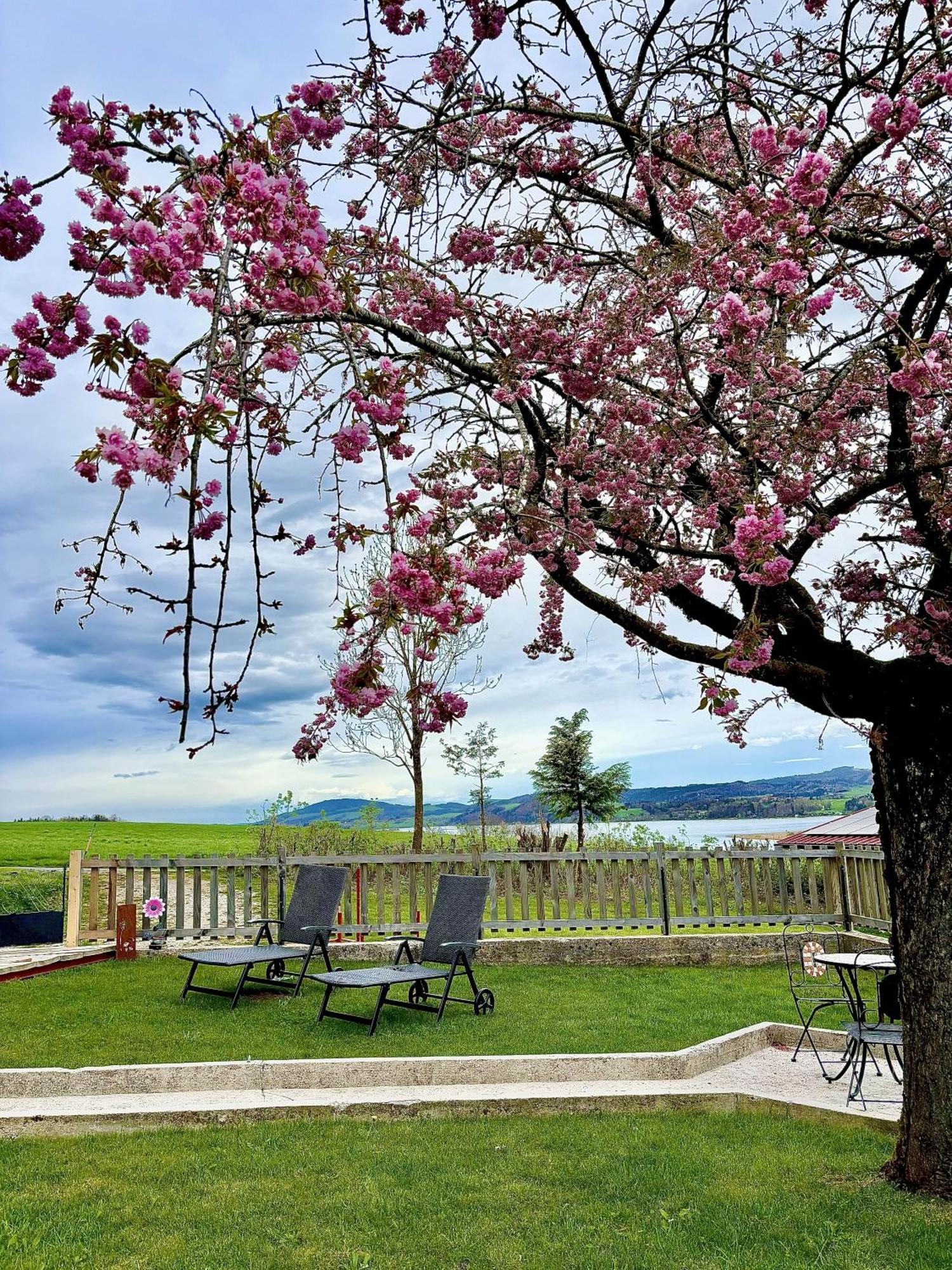 Gaesthaus "Seeblick" Seekirchen am Wallersee Bilik gambar